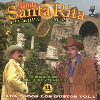 Album cover for Cartel de Zacatecas by Banda Santa Rita