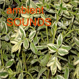 Nebulized Weasels Stranger