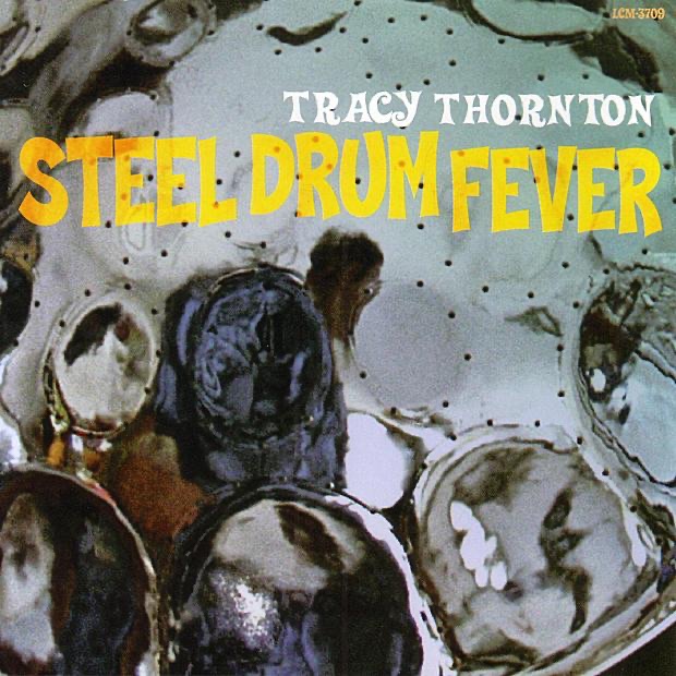Steelpan Beach Party