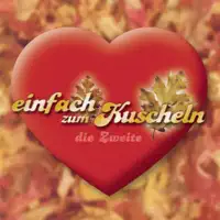 Meine Lieder Streicheln Dich