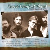 Sweet Comfort Band: Their Classic Hits