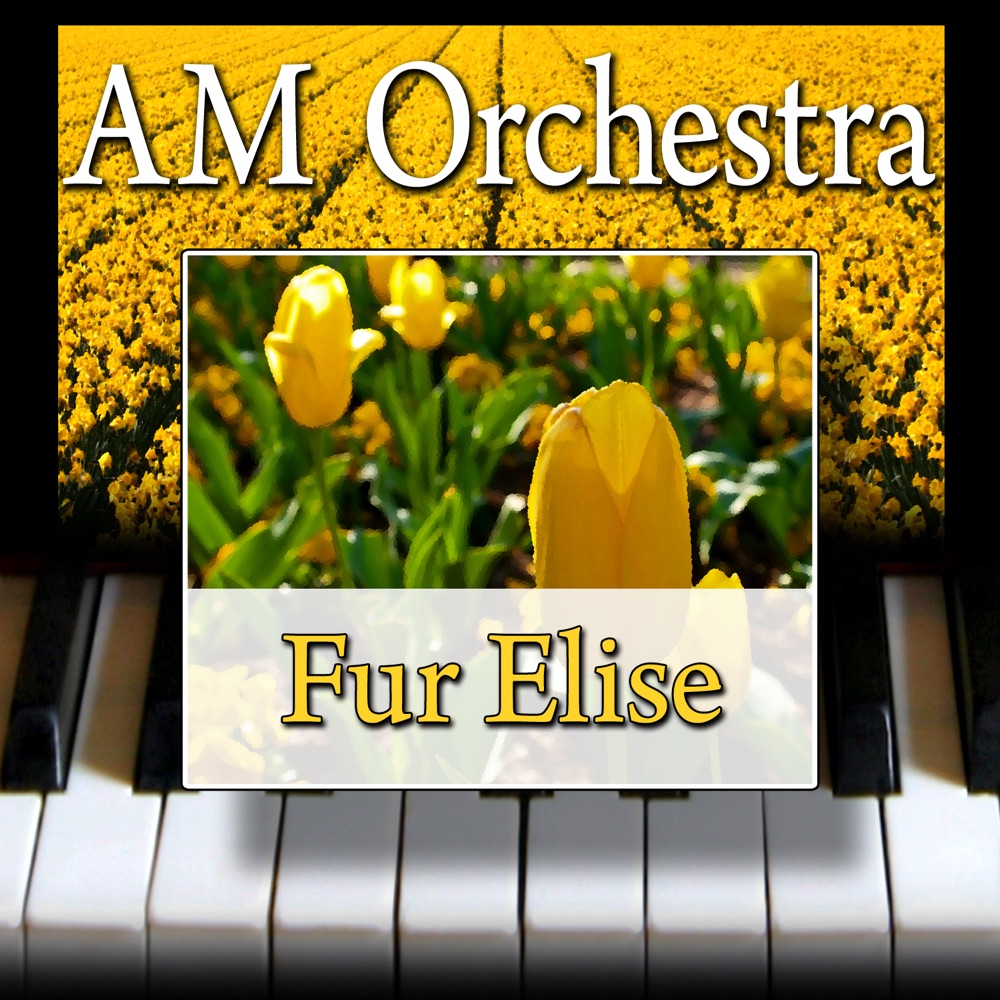 Обложка альбома «Für Elise - Single» — AM Orchestra
