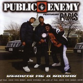 Public Enemy - Raw Sh*t