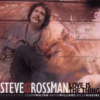 Love Is the Thing - Steve Grossman