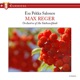 Max Reger Mozart Variations and Fugue Op 132
