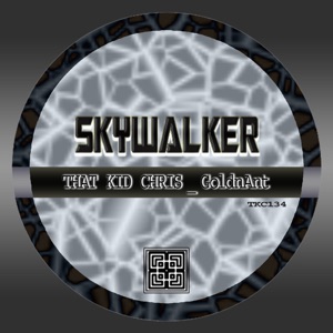 Skywalker - Single