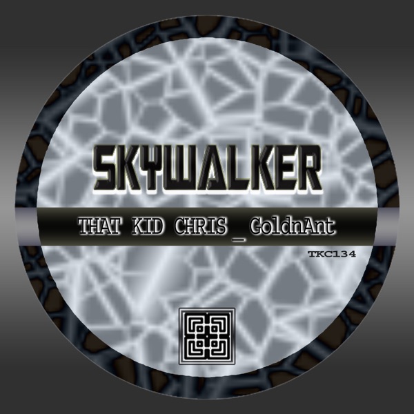 Skywalker - Single
