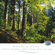 Birds In the Wood & Morning Mood - State R&T Symphony Orchestra Moscow