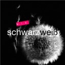 Schwarzweiß