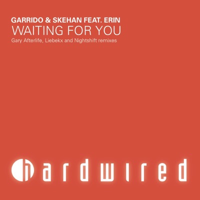 Waiting For You - The Remixes (feat. Erin) - Single