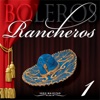 Serie Majestad: Boleros Rancheros, Vol. 1