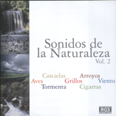 Aves De La Foresta