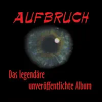 Die Idioten Fliegen Tief — Aufbruch