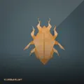 Spark