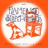 Flamenco Street Projects