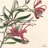 12 Fantaisies No.12 g-minor