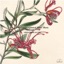 The Unaccompanied Flute Music Ⅱ