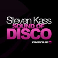Sound of Disco - Steven Kass