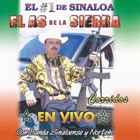 El As De La Sierra - El Ramalazo (En Vivo)
