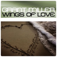 Wings Of Love (Maxi)