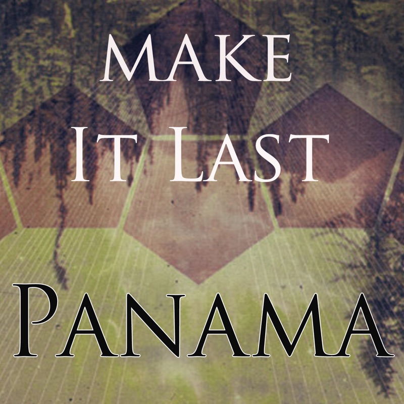 Make It Last - Single