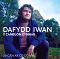Cân yr Ysgol