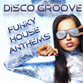 Disco Groove - Funky House Anthems (Mixed by Love Assassins)