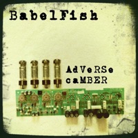 Adverse Camber - Babelfish