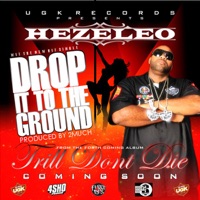 Drop It to the Ground - EP - Hezeleo