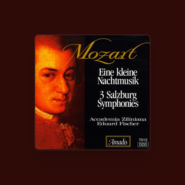 Eduard Fischer's avatar