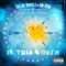 In This World - Talib Kweli & Hi-Tek lyrics
