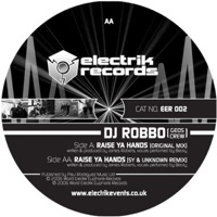 Raise Your Hands (feat. Becky) - Single - Dj Robb-O