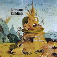 Birds and Buildings - Chronicle of the Invisible River of Stone