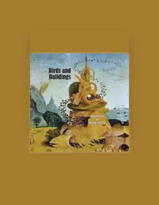 收听 Birds and Buildings、观看音乐视频、阅读小传、查看巡演日期等 ！