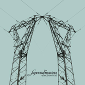 Electroviral