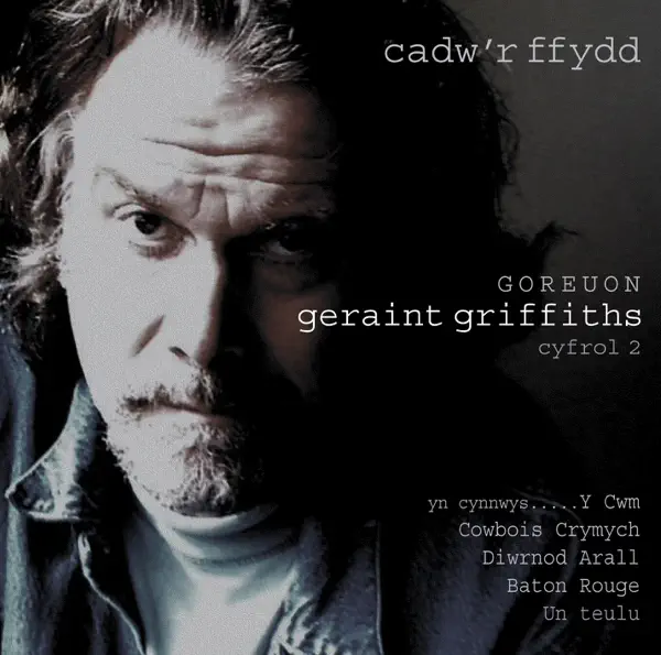 Y Cwm — Geraint Griffiths