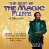 The Best of the Magic Flute: The Opera Masters Series - Wienerfilharmonikerna