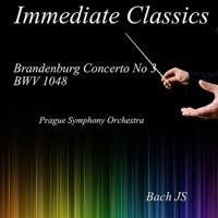 Bach: Brandenburg Concerto No. 3, BWV 1048 - Prague Symphony Orchestra