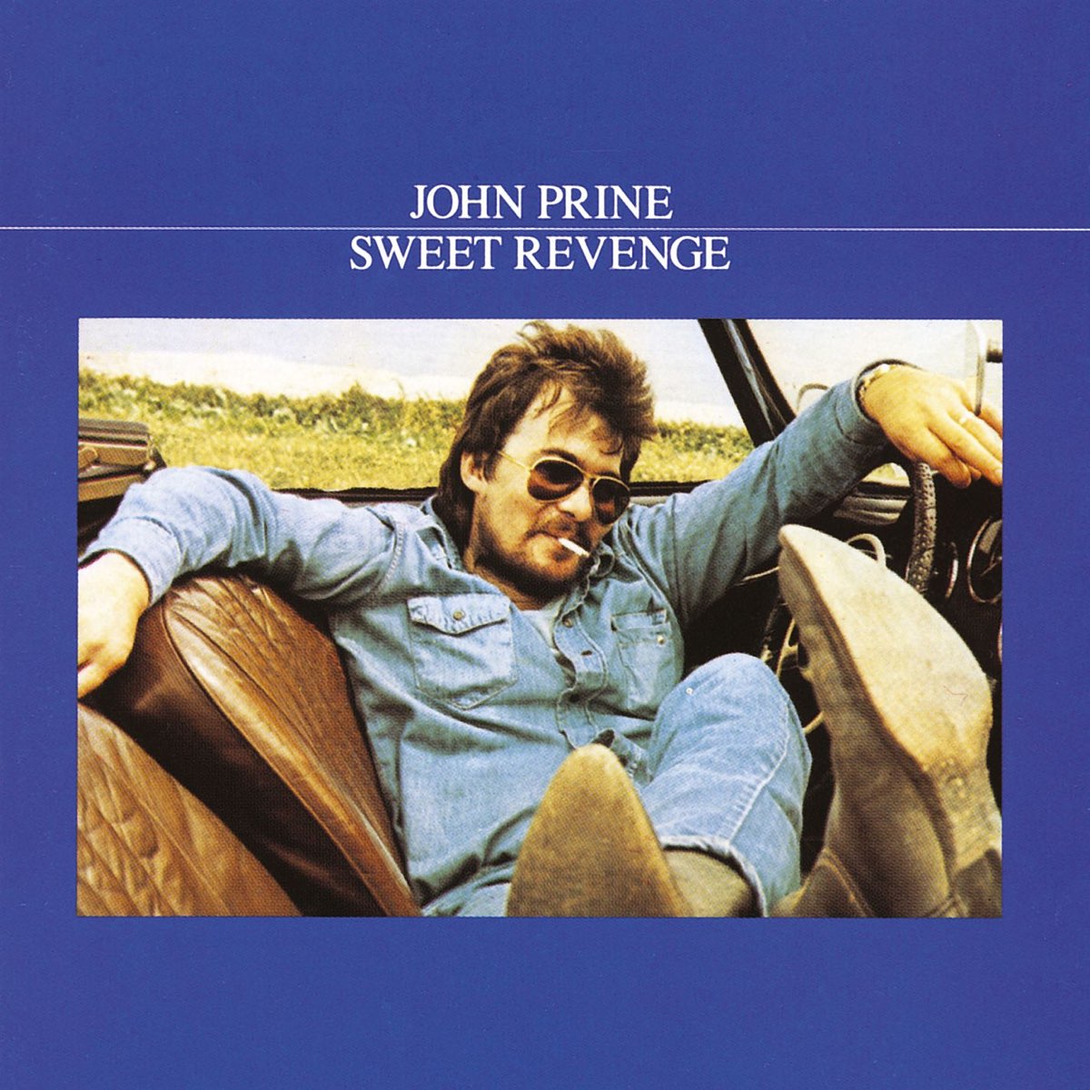 Sweet Revenge - Album by John Prine - Apple Music