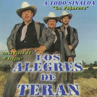 A Todo Sinaloa - Los Alegres de Terán