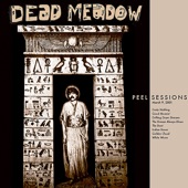 Dead Meadow - Indian Bones