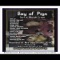 Revenge of the Sea - Bay of Pigs lyrics
