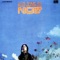 Beautiful Rivers and Mountains - Kim Jung Mi lyrics