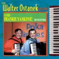 Button accordion Polka