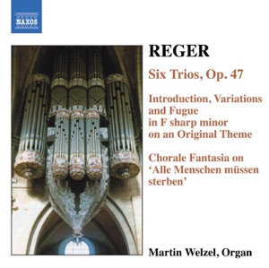 Reger, M.: Organ Works, Vol. 6