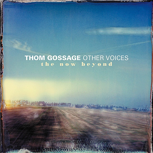 Обложка альбома «Other Voices: The Now Beyond» — Thom Gossage