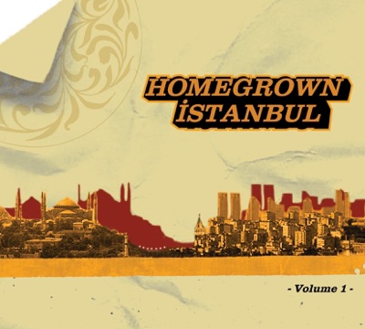 Homegrown Istanbul Vol. 1