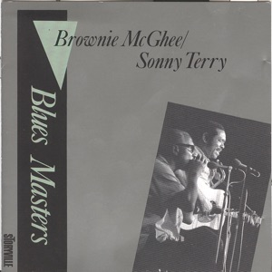 Blues Masters Vol. 5