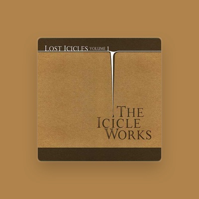 The Icicle Works