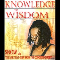 Knowledge To Wisdom - Snow